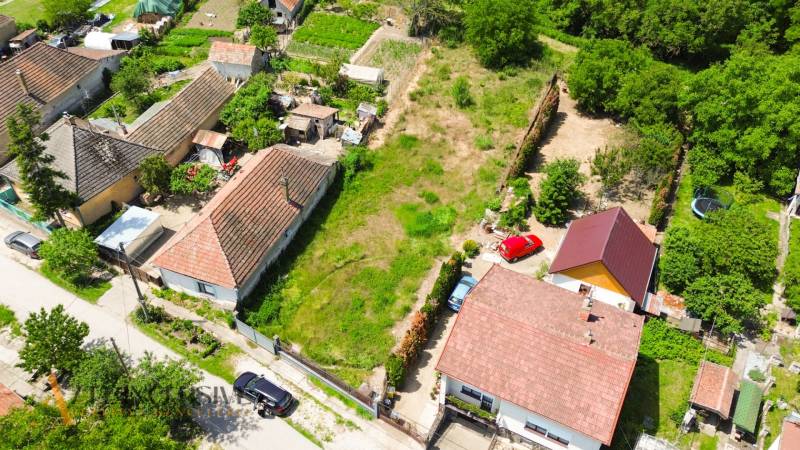 3 - 2025-06-03T152325.730.jpg