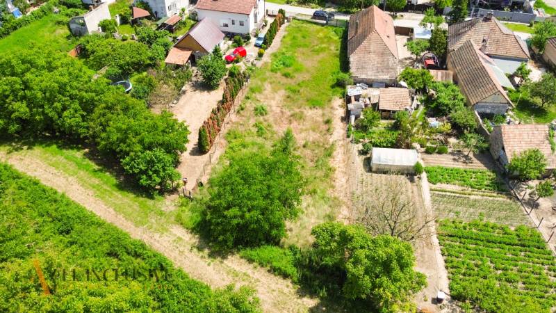 4 - 2025-06-03T152346.433.jpg