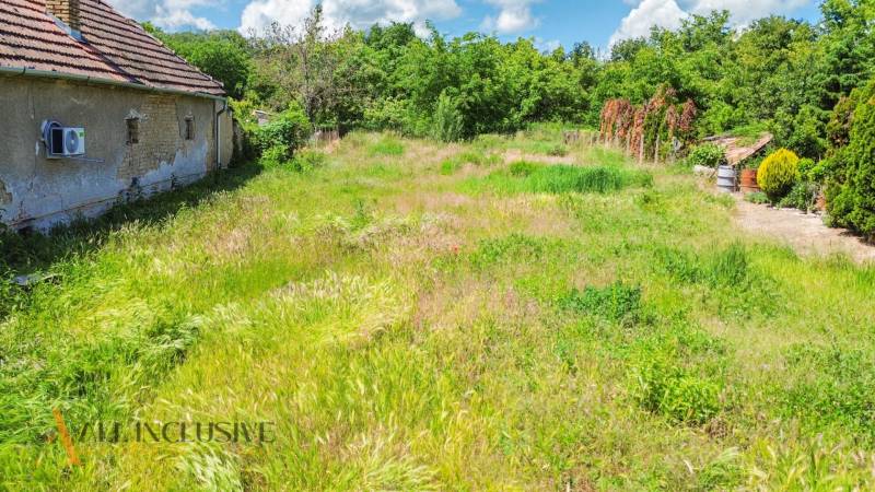 5 - 2025-06-03T152348.553.jpg