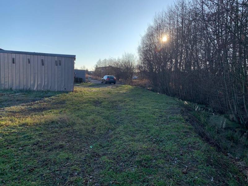 Greenery and a cottage in the background, Malé Leváre - Land, living, in sunlight.