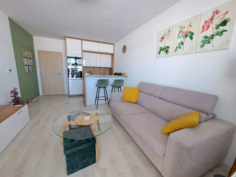 Studio apartment with a sofa, wood-patterned floor, kitchenette, and room decorations.