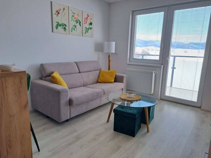 Studio apartment with a sofa, glass table, and wood-patterned flooring.