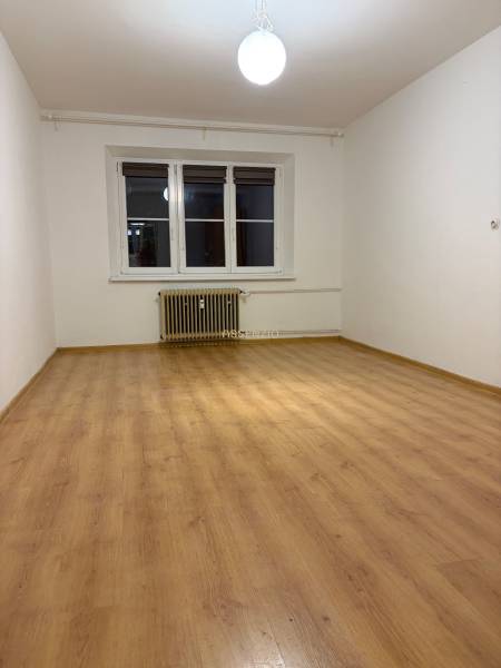 Empty room with wood-patterned flooring, large window, and radiator.