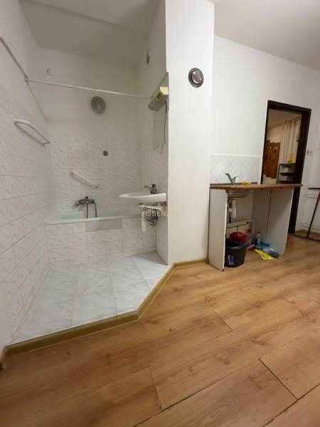 Bathroom with a bathtub and a sink, floor with wood decor in a studio apartment.