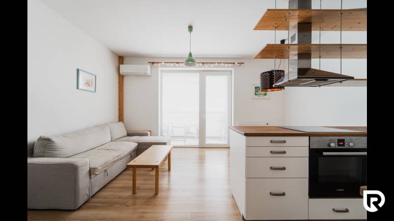 Living room of a 2-room apartment with a sofa, kitchen island, and wooden decor flooring.