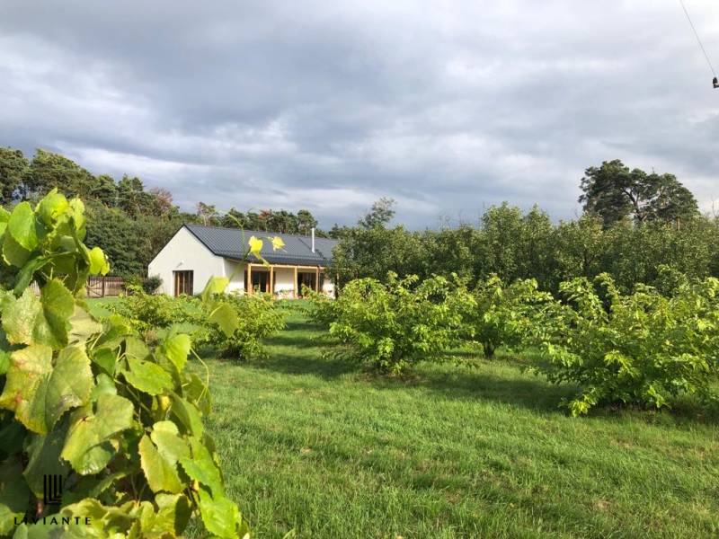 A building in the town of Láb surrounded by greenery and trees, Láb street.