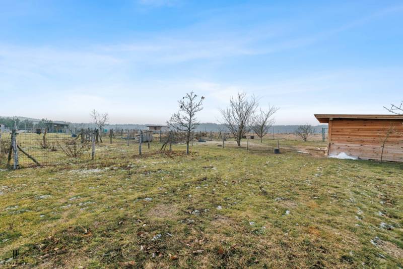 Garden with a wooden shed and trees in Láb on Láb Street, Building.
