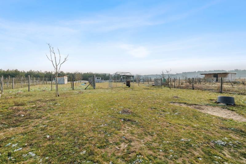In the yard on Láb Street in Láb, there are fences, trees, and simple shelters.