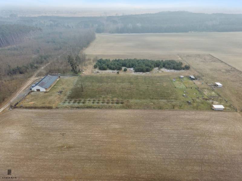 A field with a building in Láb surrounded by forest and plantations on Láb street.