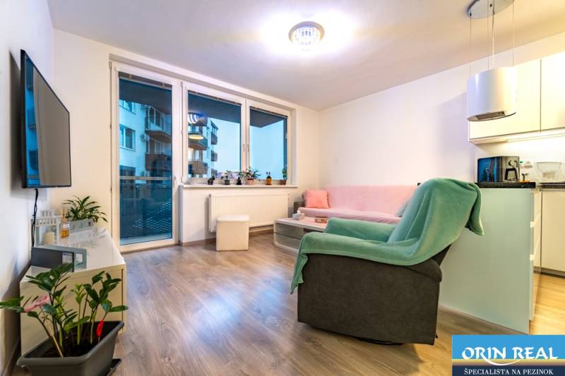 Living room in a two-room apartment with a wooden decor floor, a television, and a sofa.