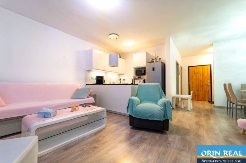 Living room in a two-room apartment with a wooden decor floor and a kitchenette.
