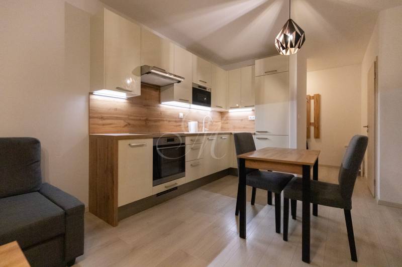 A kitchen in a 2-room apartment with a wooden decor floor and a dining table.