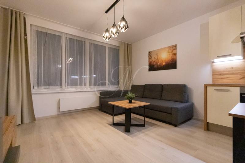 Living room in a two-room apartment with a sofa, wood-patterned flooring, and pendant lighting.