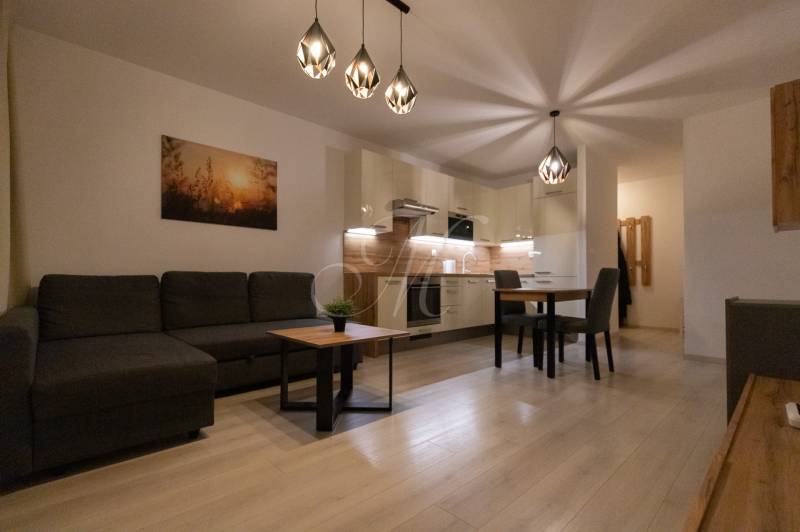 Living room with a corner sofa, kitchenette, and wooden decor flooring in a two-room apartment.