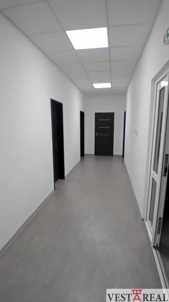 A hallway in offices with white walls and dark doors, a floor with a wooden decor.