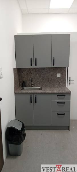 Office kitchenette with a sink, gray cabinets, and a trash can.