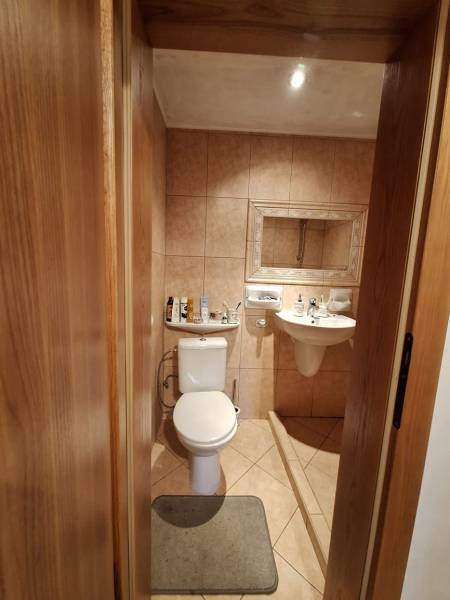 A bathroom in a cabin with a mirror, sink, and toilet, with a wooden decor floor.