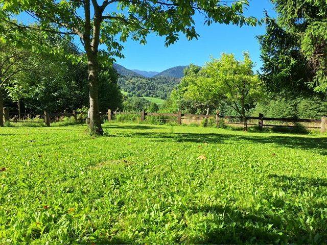 A beautiful garden by the cottage on Vrátňanská Street in Terchová, surrounded by greenery and trees.