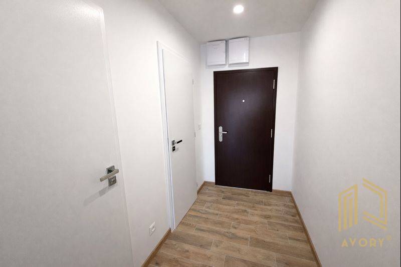 Entrance area in a studio apartment with doors and flooring featuring a wood design.