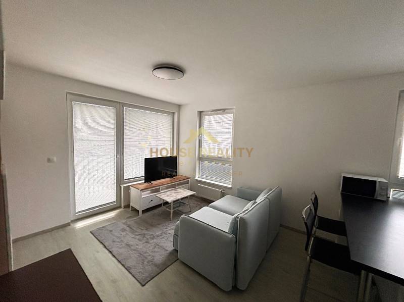 Living room in a two-room apartment with a sofa, television, and wood-patterned flooring.
