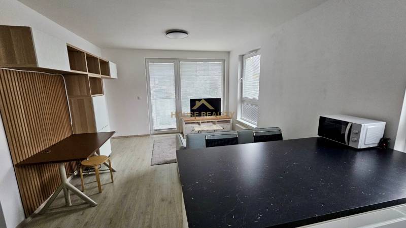 Living room with a dining area, sofa, and wood-patterned flooring in a two-room apartment.