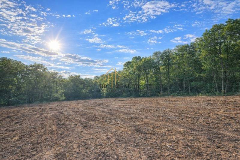 Sunny agricultural and forest lands in Hrušov surrounded by dense forest and blue sky.
