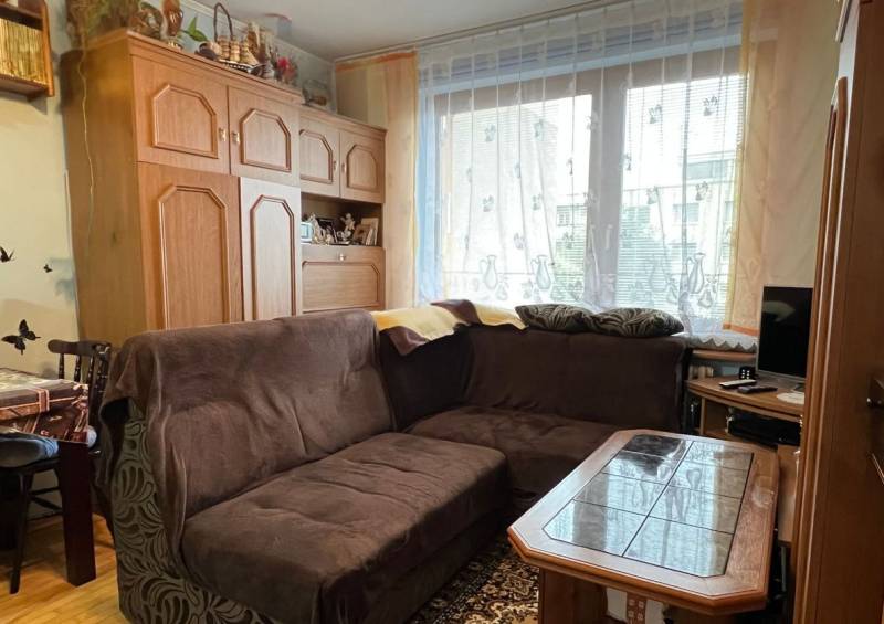 Living room in a studio apartment with a dark sofa, cabinets, and wooden decor flooring.