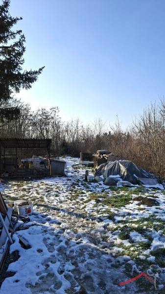 A snowy yard of a family house in Žitavce, surroundings with trees and a folding shelter.