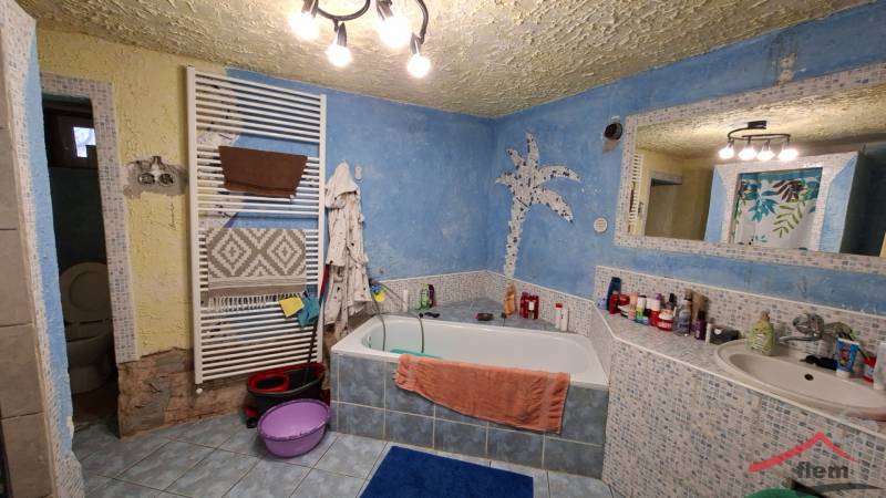 A bathroom in a family house with a corner bathtub, a blue wall, and a decorative palm.