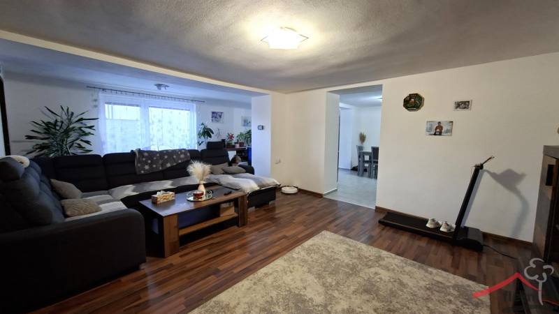 Living room in a family house with wood-patterned flooring, a convertible sofa, and decorations.
