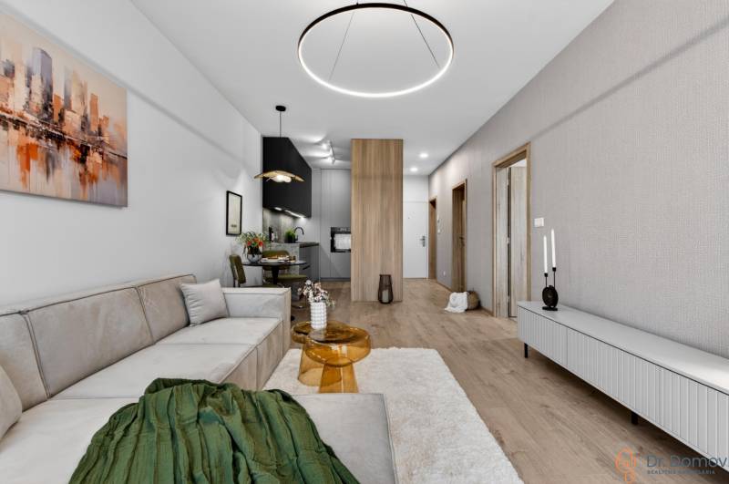 A stylish living area with a sofa, wood-patterned flooring, and an open kitchen in a 2-room apartment.