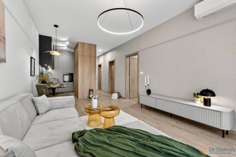 A stylish living room with wood-patterned flooring and a comfortable gray couch in a two-room apartment.