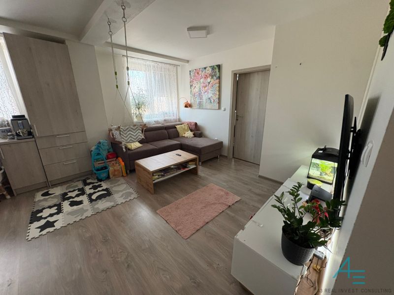 Living room in a two-room apartment with a wooden decor floor, sofa, and decorations.