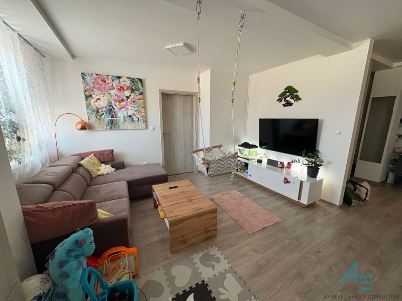 Living room in a two-room apartment with a couch, television, and a swing; floor with a wooden decor.