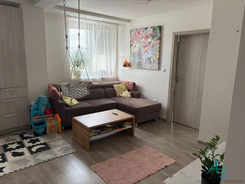 Living room in a two-room apartment with a wooden decor floor, toys, and a couch.