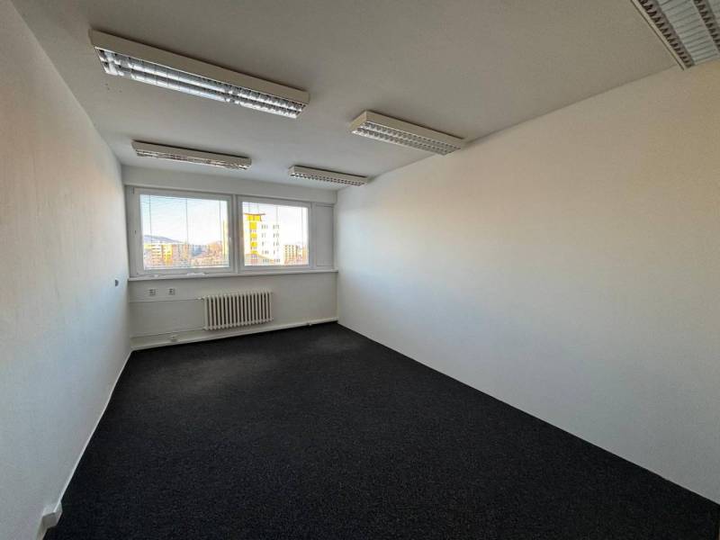 Offices with carpet, white walls, and large windows letting in daylight.
