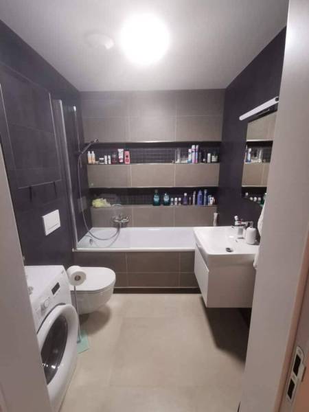 Bathroom in a 2-room apartment with a shower, bathtub, sink, and washing machine.