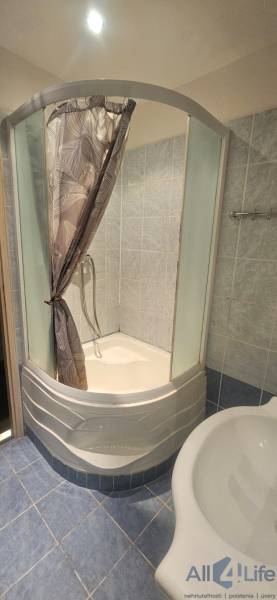 A bathroom with a corner shower and blue tiles in a studio apartment.