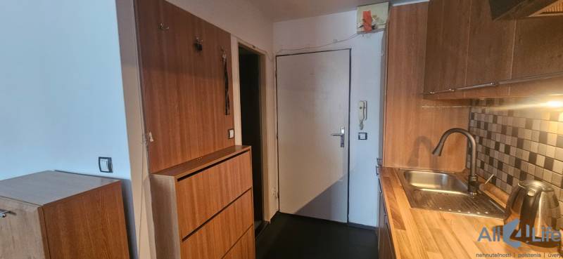 The studio apartment has a kitchenette with cabinets and a sink with a modern faucet.