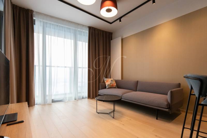 Living room in a two-room apartment with a sofa, coffee table, and wooden decor flooring.
