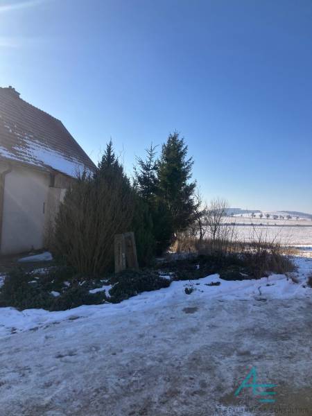The snowy surroundings of a family house in Rudník, shrubs and trees on Rudník Street.