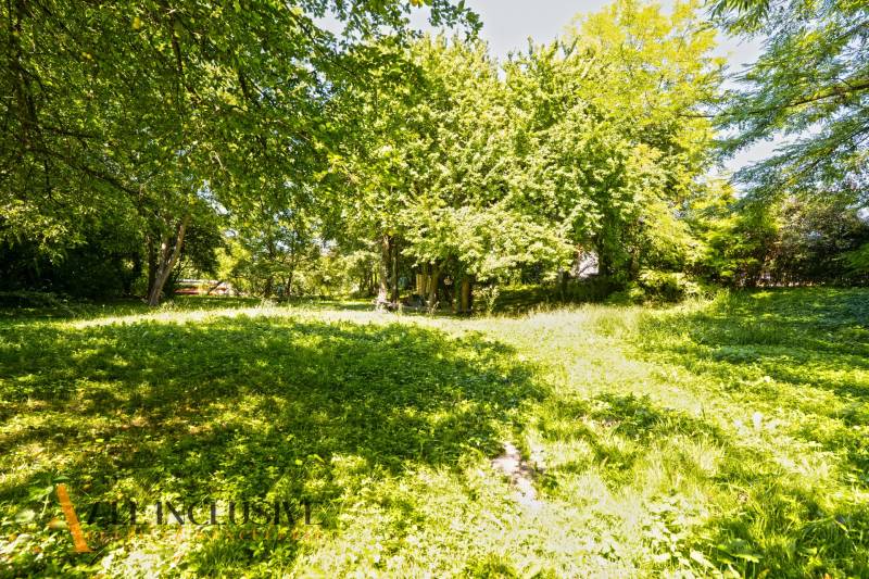 5 - 2025-08-19T134805.095.jpg