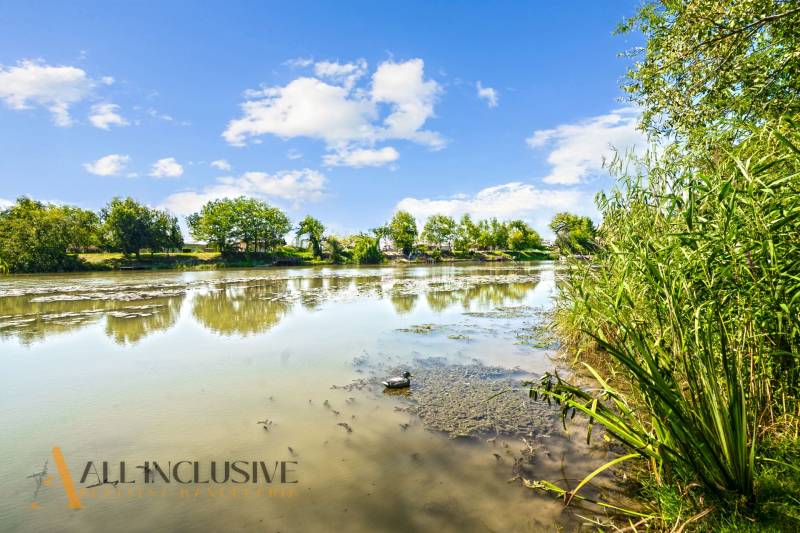 4 - 2025-08-19T134803.059.jpg