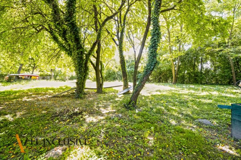 6 - 2025-08-19T134806.076.jpg