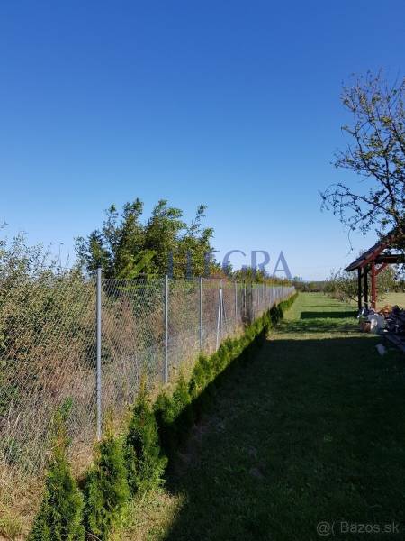 A plot of land in Stretavka with young thuja trees by the fence of a family house.