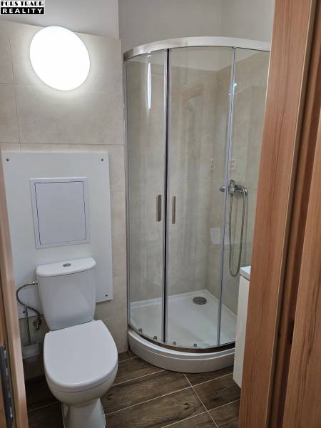 Compact office bathroom with a toilet, shower, and wood-patterned flooring.