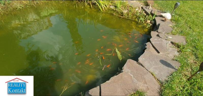 A garden pond with fish surrounded by stones in a family house on Nitrianska Street in Nové Zámky.