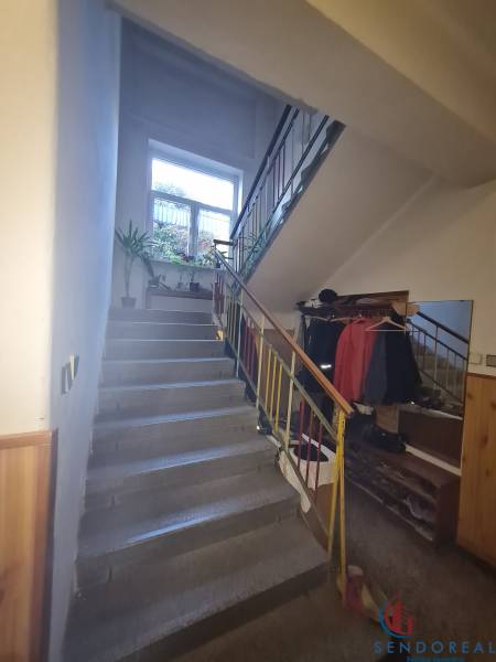 A staircase in a family house with indoor plants and a coat rack wall.