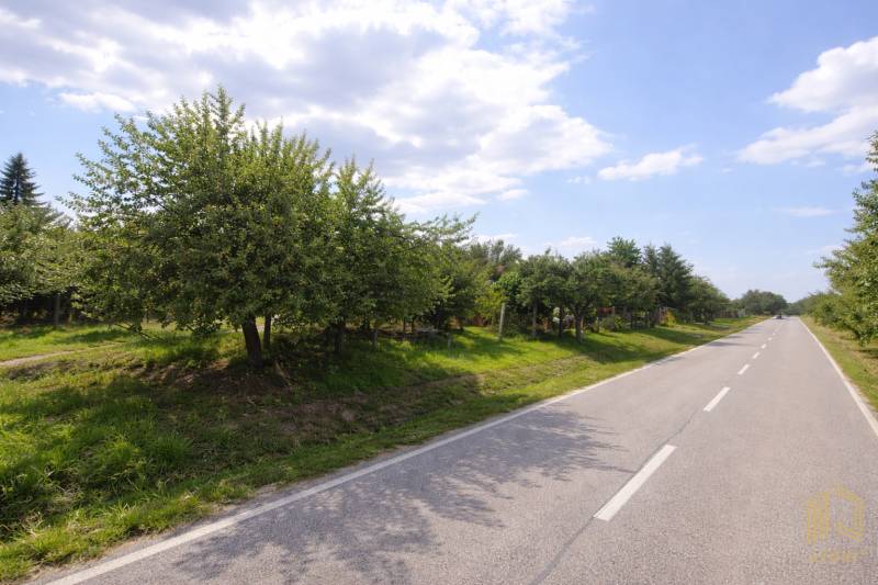 A path with an avenue of trees in the Gardens in Osuské at Opendáky, sunny weather.