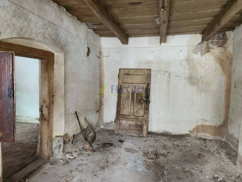 The interior of the family house with worn-out plaster and a wooden ceiling appears abandoned.
